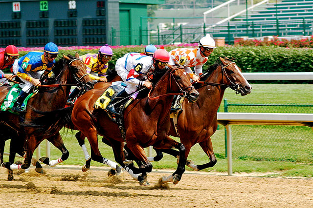 churchill_downs_racehorses